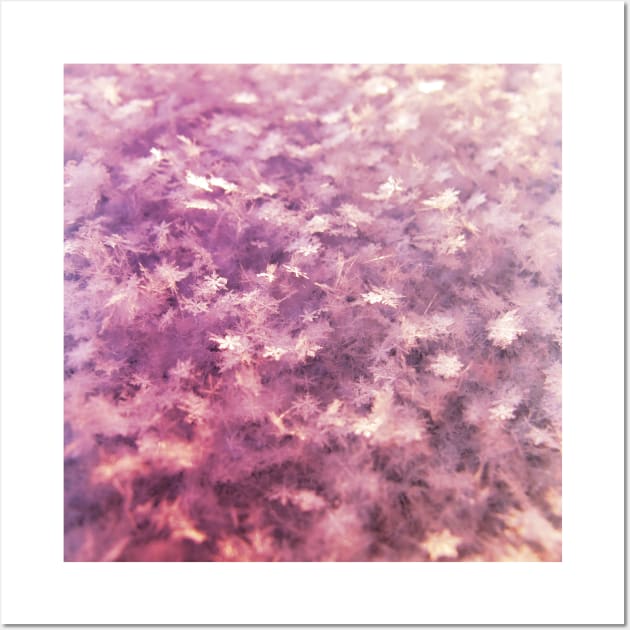 Pink and Purple Gradient Snowflakes Wall Art by thesnowwhyte